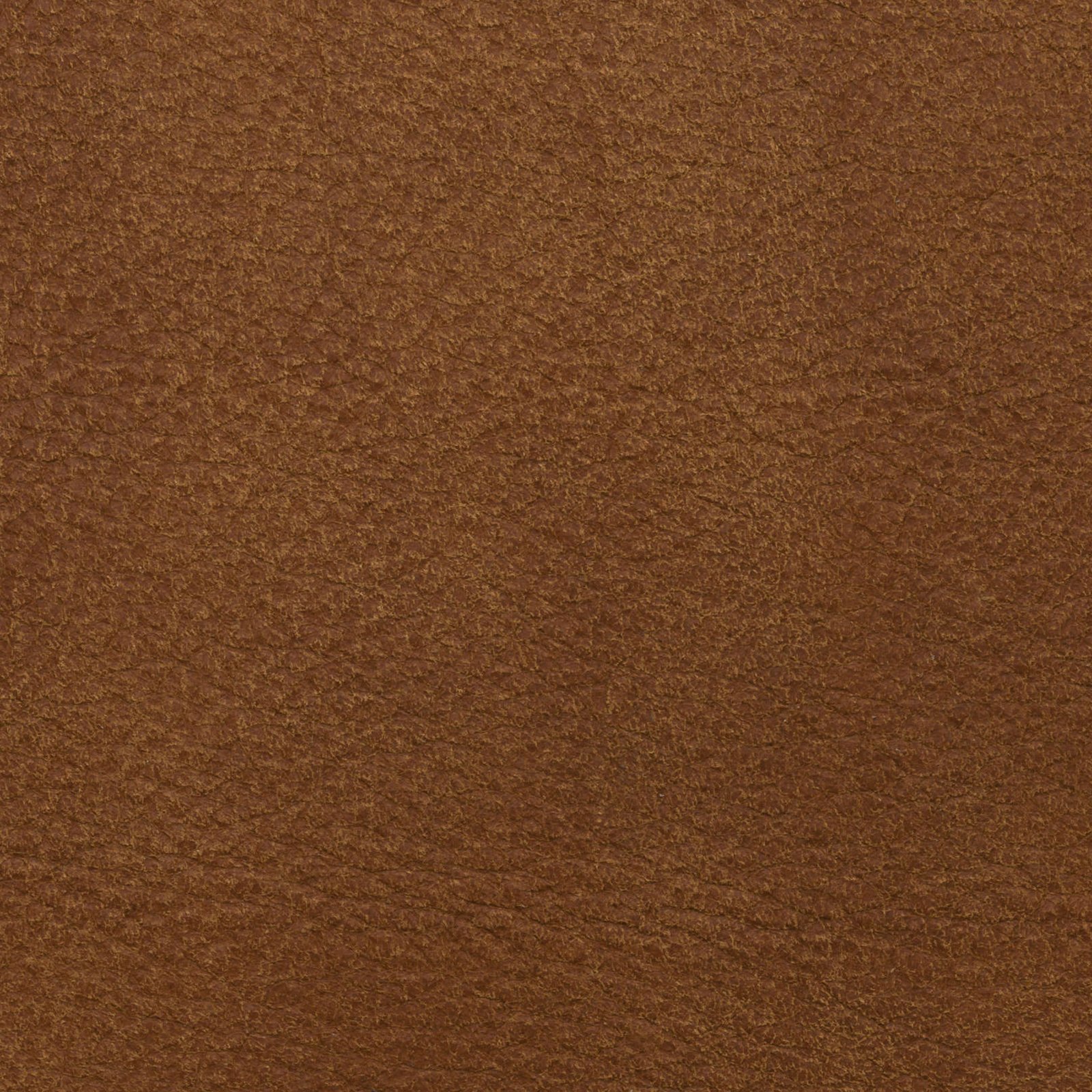 Caramello