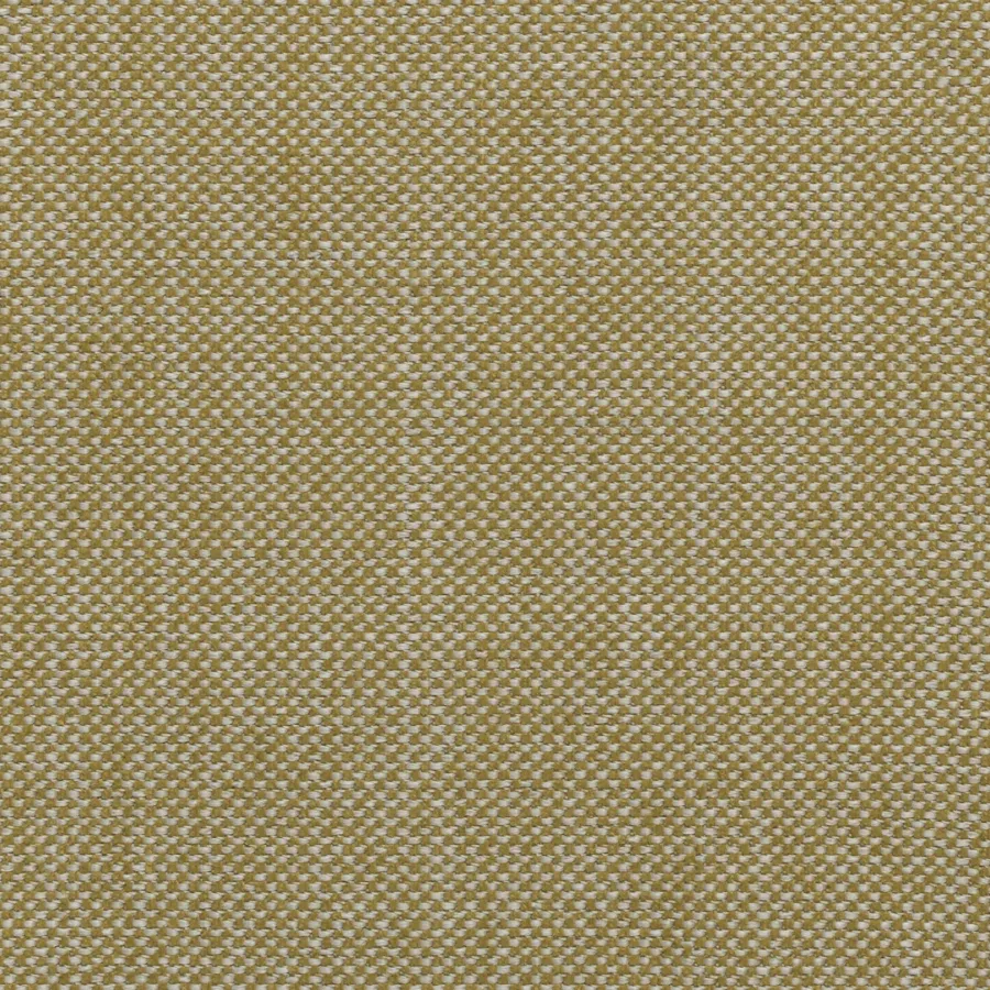 Coleção ROMA - Mustard