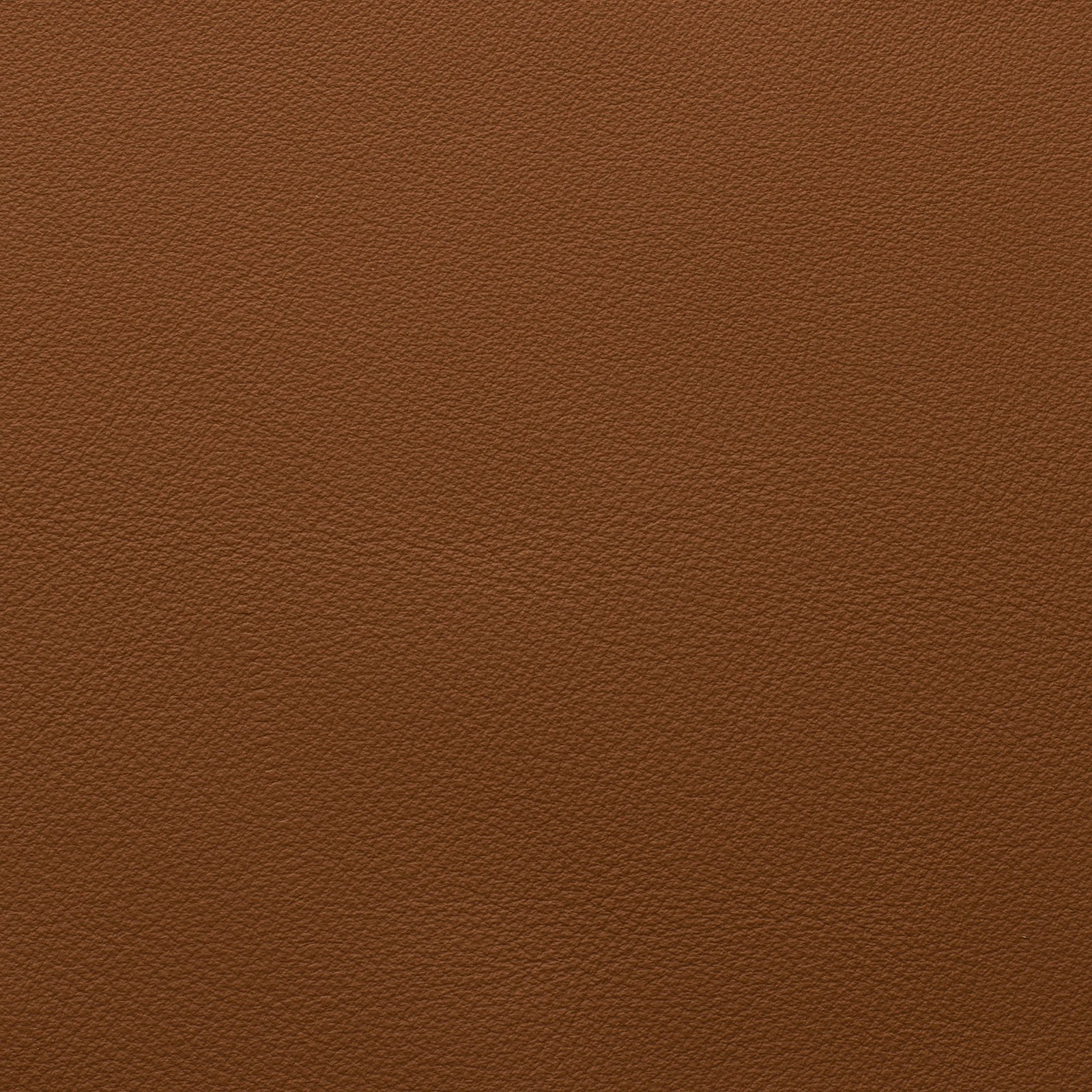 Laguna Cognac