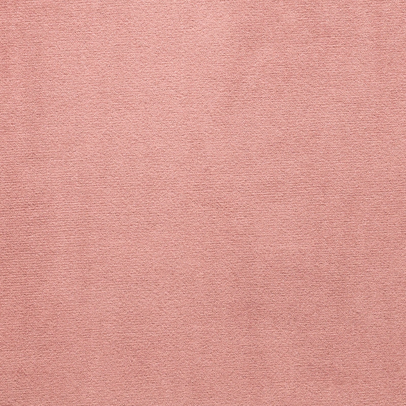 Paris Salmon