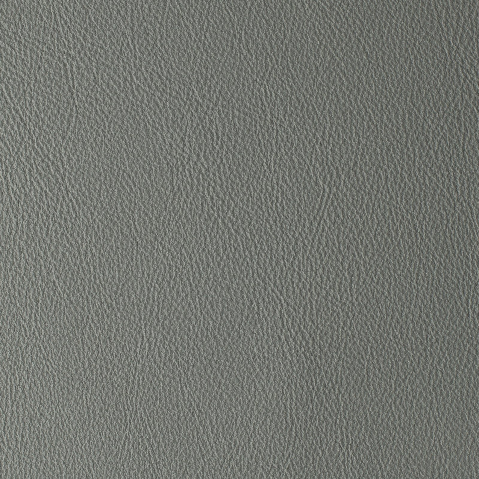 Laguna Plaster