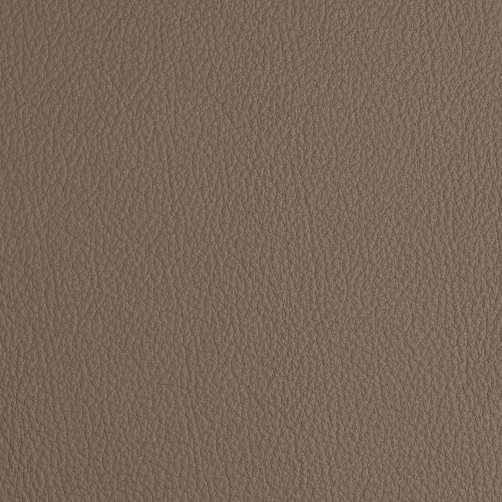 Florida Taupe
